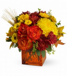 Autumn Expression from Mona's Floral Creations, local florist in Tampa, FL